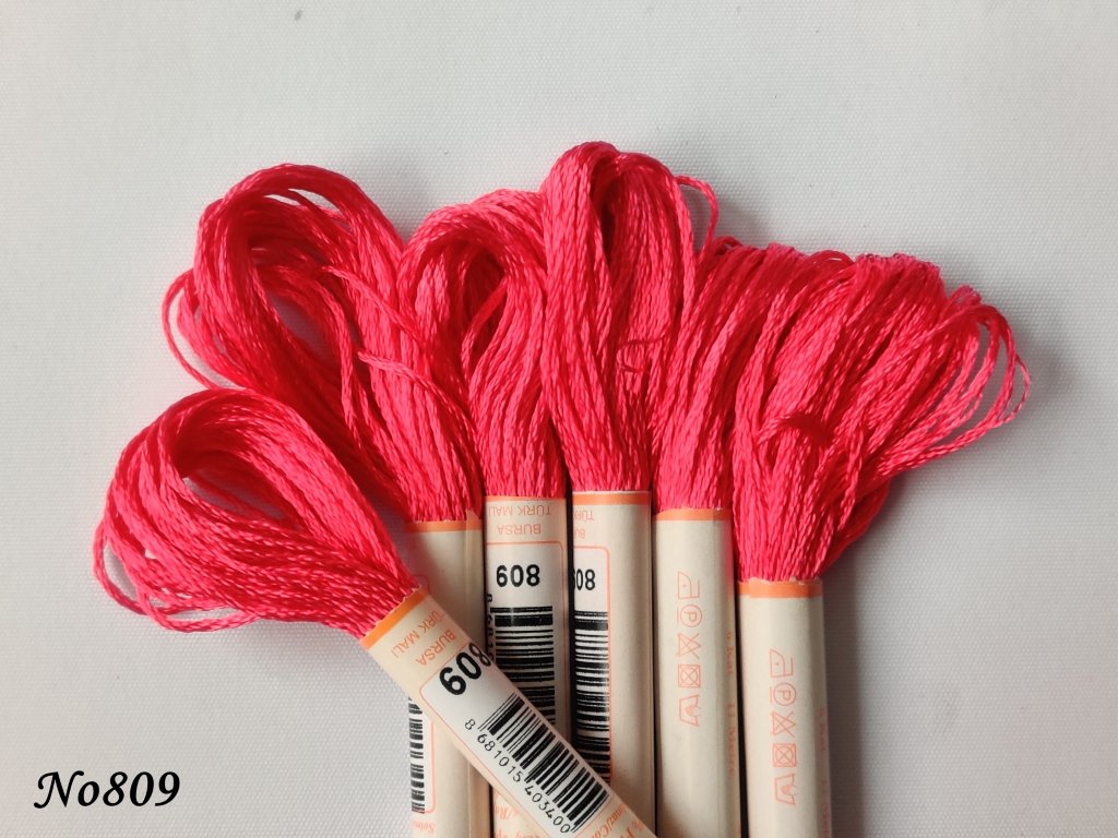 809 (DMC600) (2) (Medium)